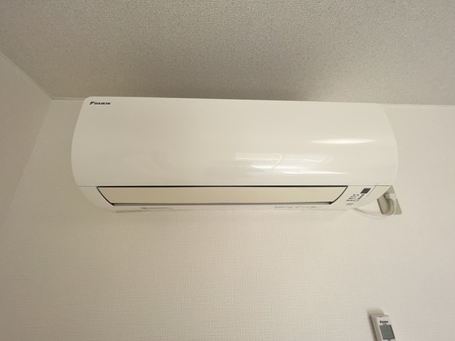 テラス花水木