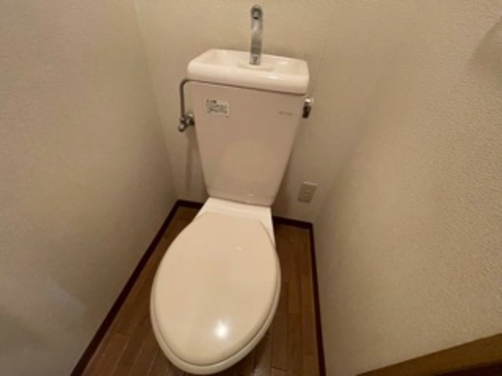 (5/24) トイレ (5/24) トイレ