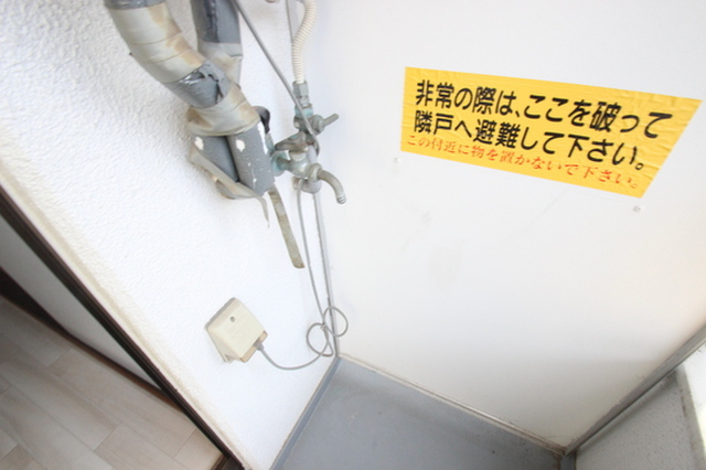 ホワイトコートセザム