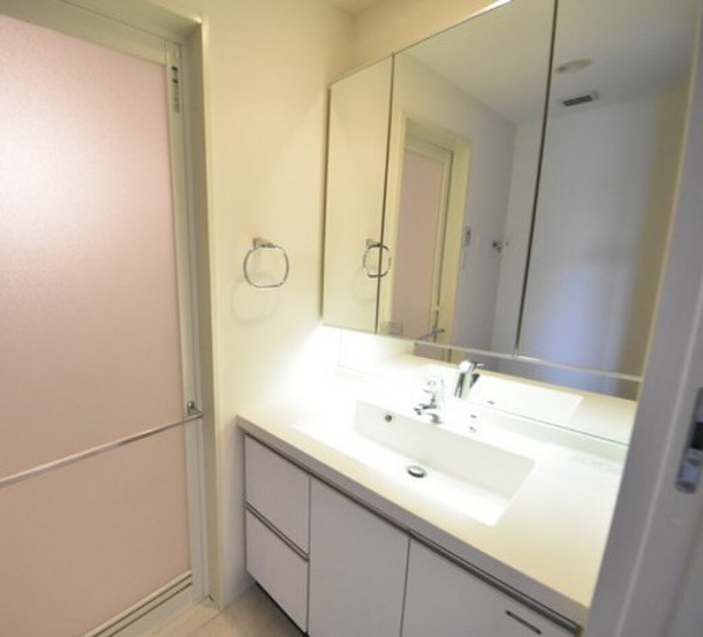 (3/24) 洗面所 (3/24) 洗面所