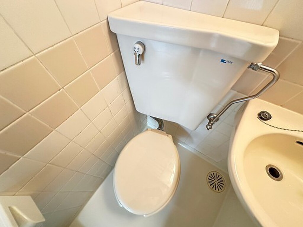 (5/24) トイレ (5/24) トイレ