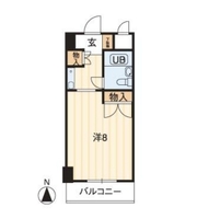 アルファ大供
