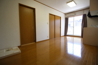 アムール・ディス