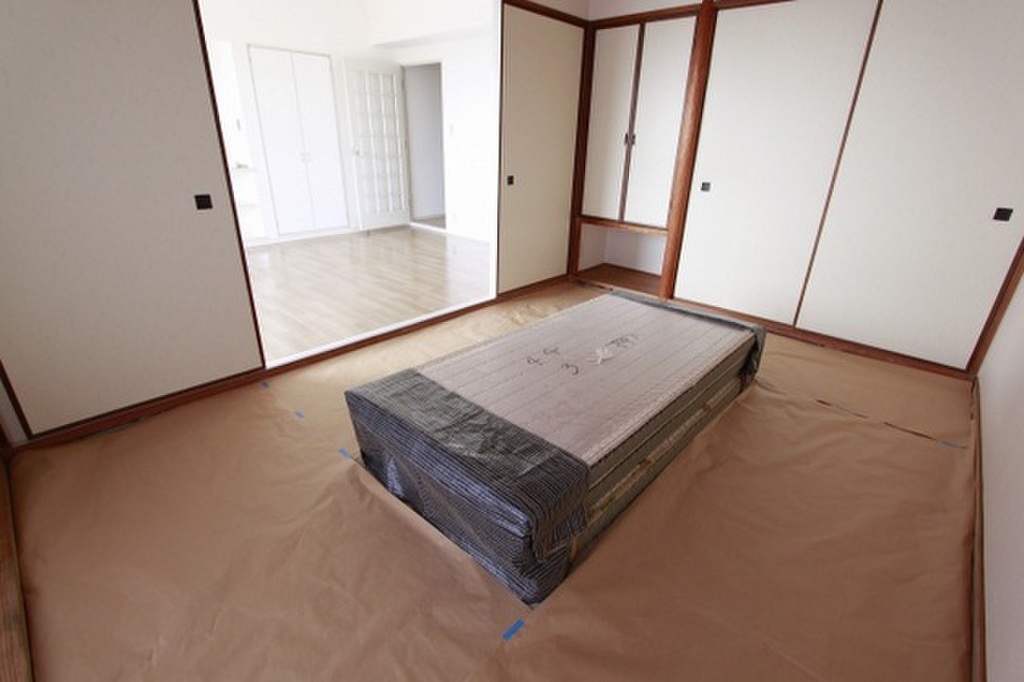 (11/19) その他 (11/19) その他