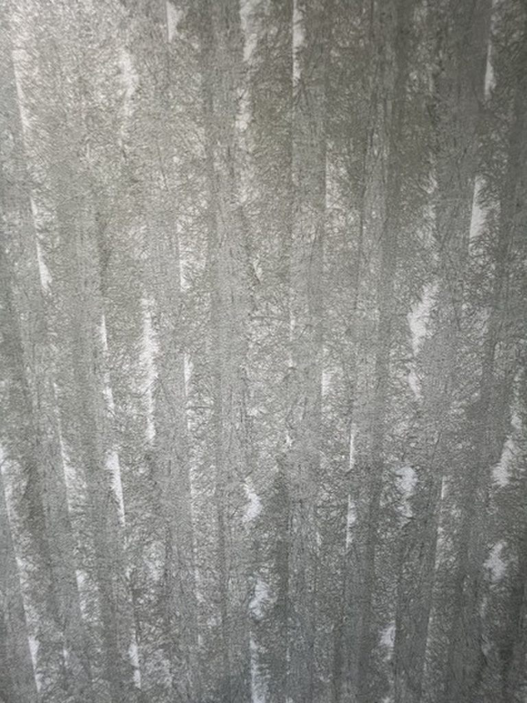 (18/24) その他 (18/24) その他