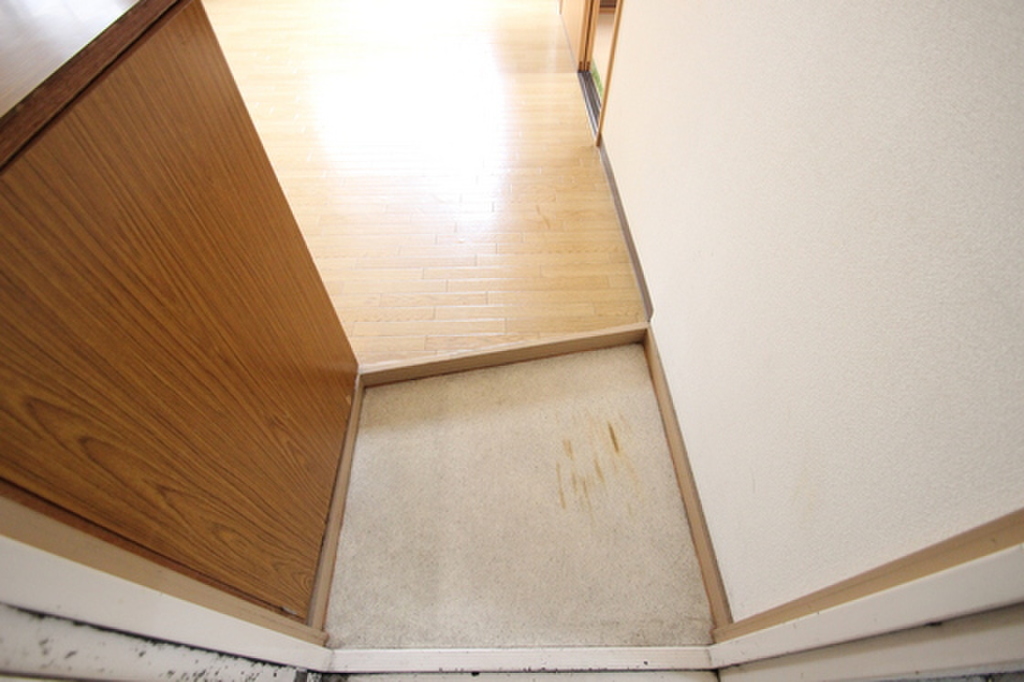 (11/19) 玄関 (11/19) 玄関