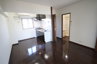 ホワイトストーン白石