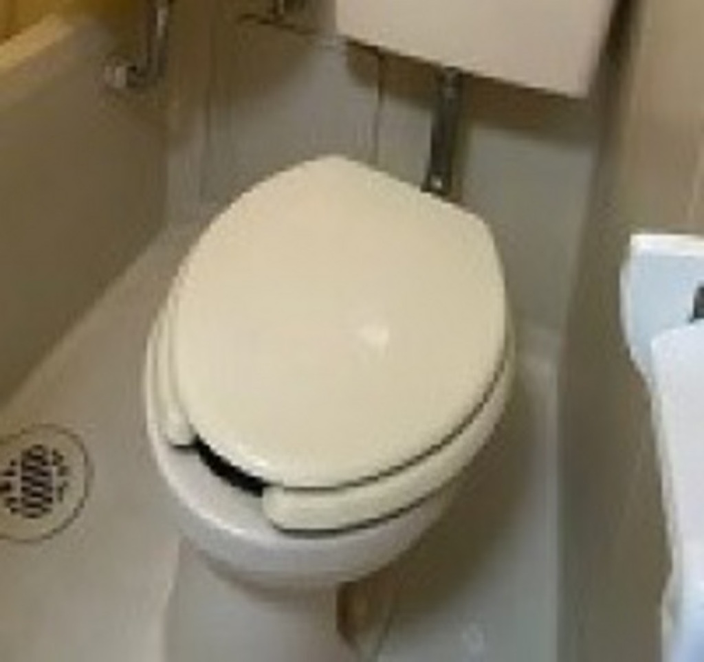 (5/19) トイレ (5/19) トイレ