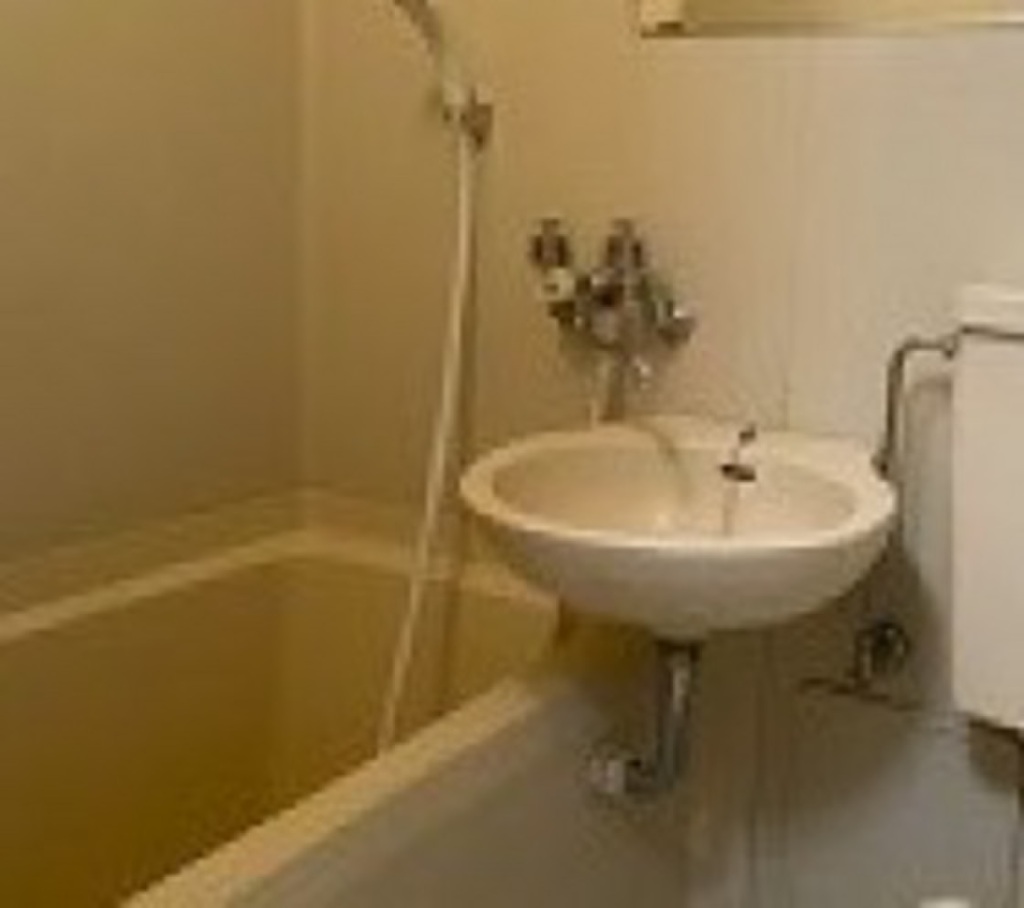 (6/19) 洗面所 (6/19) 洗面所