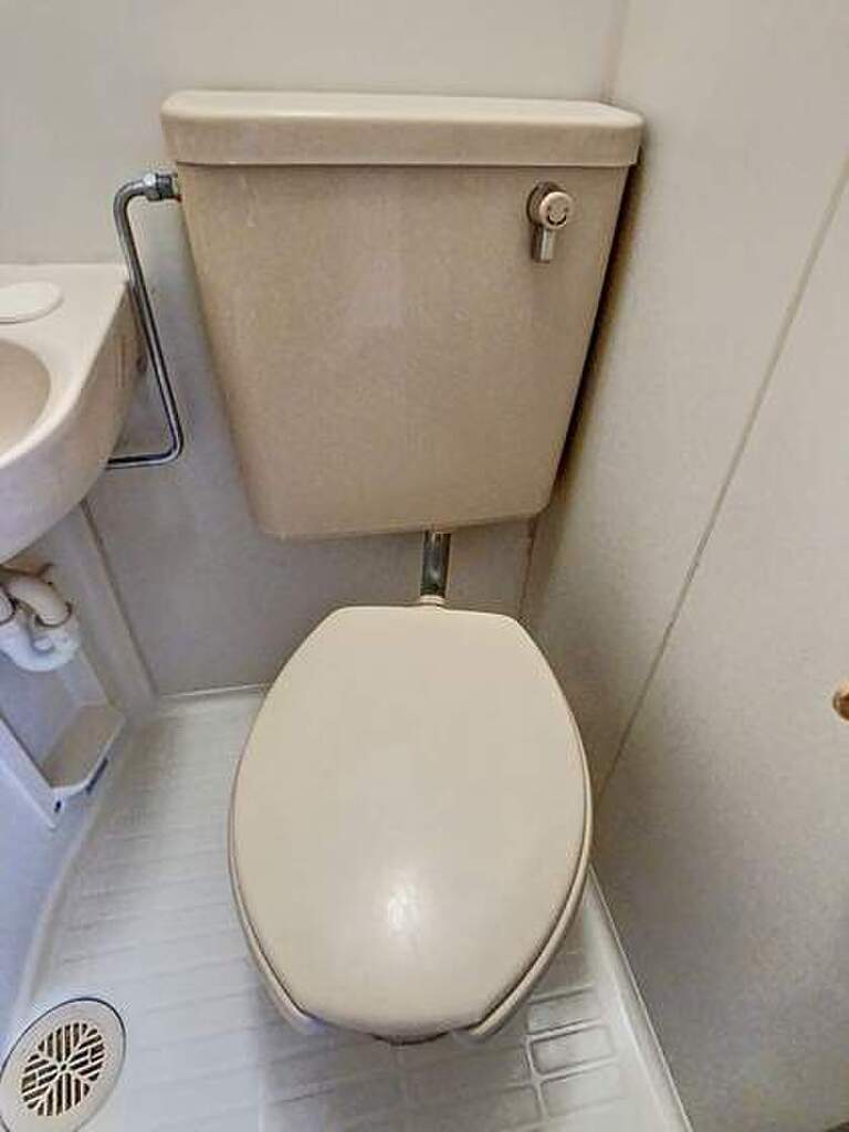 (11/28) トイレ (11/28) トイレ