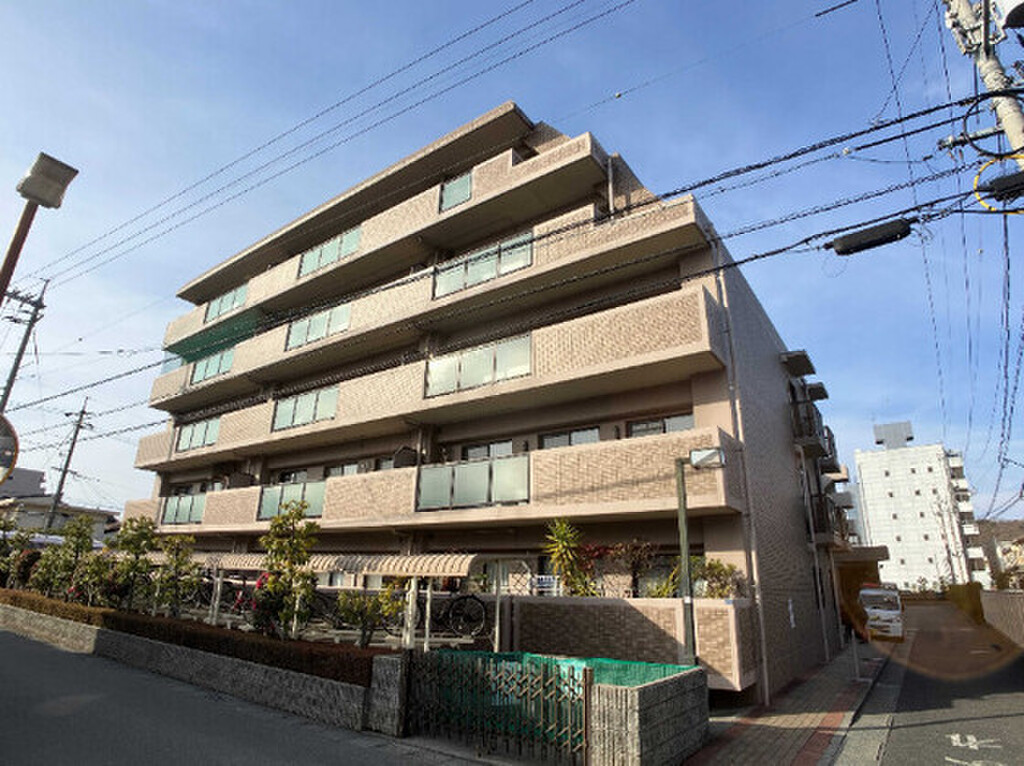 (20/25) その他 (20/25) その他