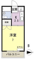 セリーヌ伊島