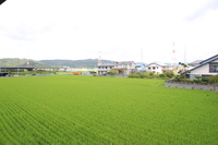 ※他号室の写真です。