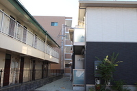 ラフィネ・ブラン