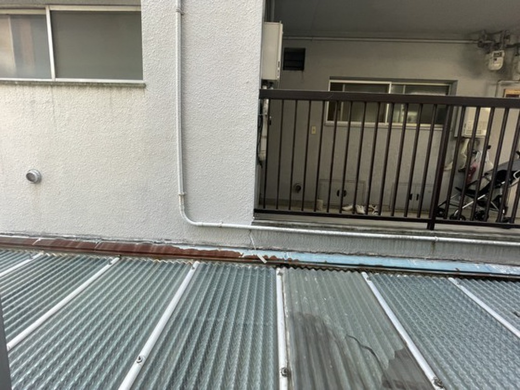 (11/19) 眺望 (11/19) 眺望