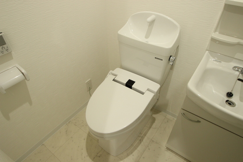 (5/23) トイレ (5/23) トイレ