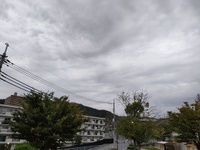 Uビル