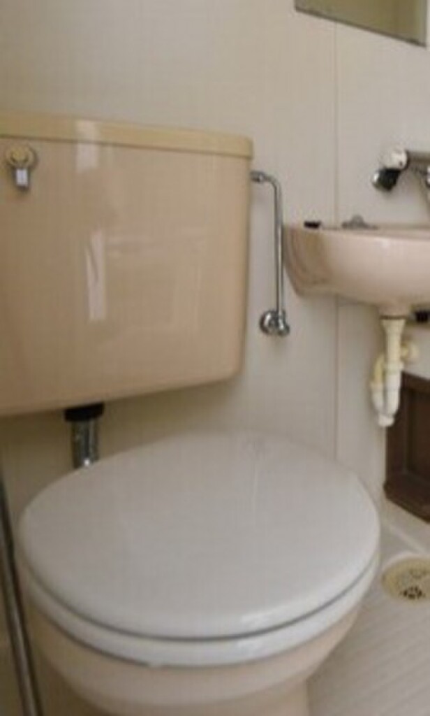 (11/17) トイレ (11/17) トイレ