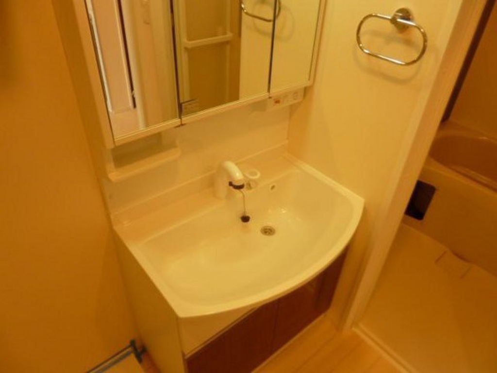 (6/20) 洗面所 (6/20) 洗面所