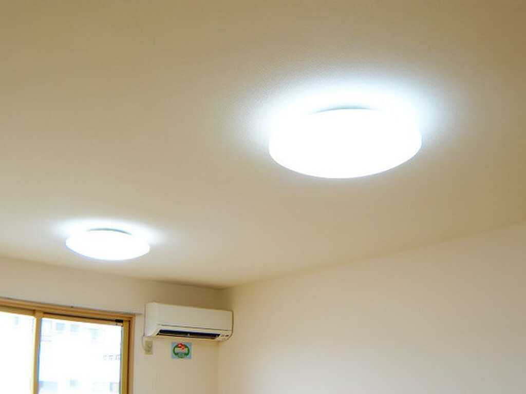 (8/12) その他 (8/12) その他