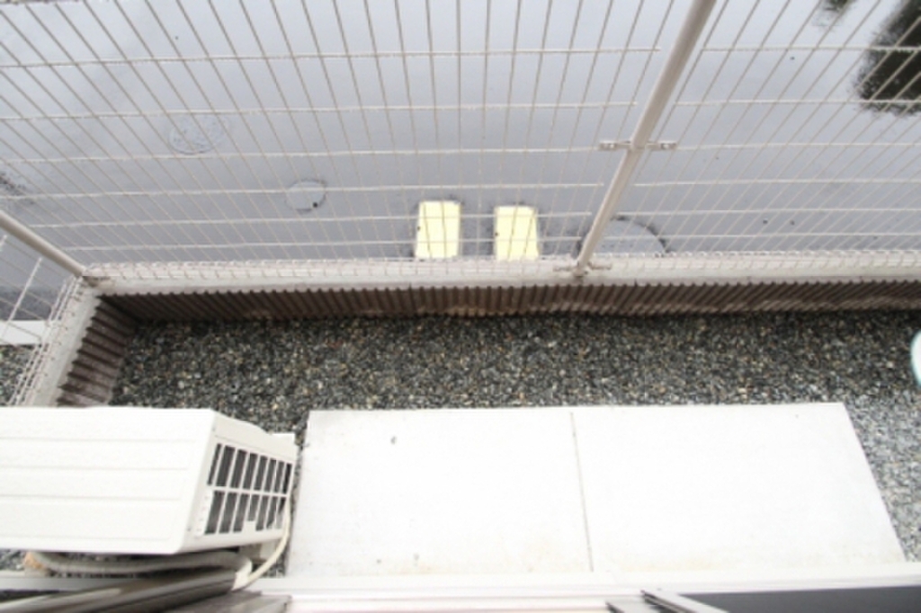 (8/17) 庭 (8/17) 庭