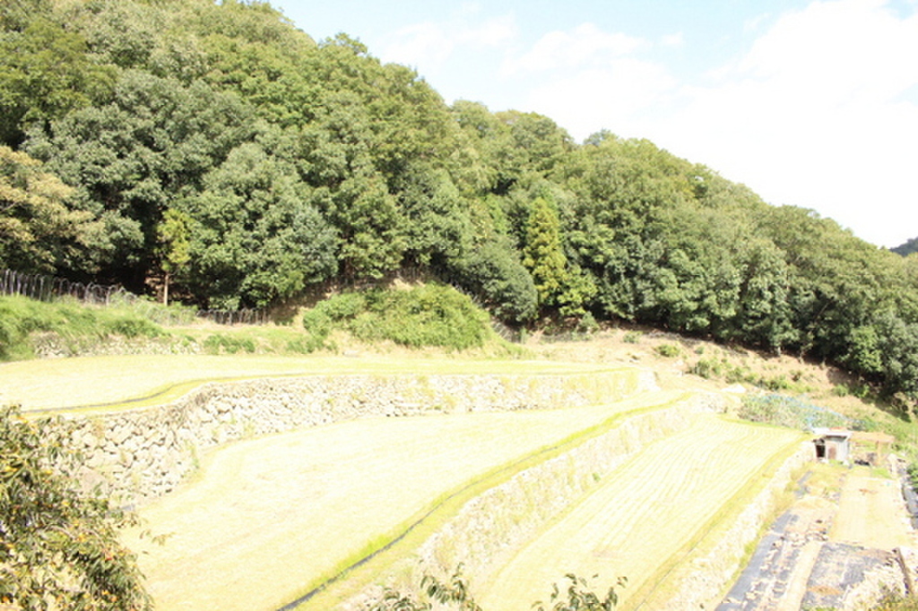 (13/23) ※別号屋の写真です (13/23) ※別号屋の写真です