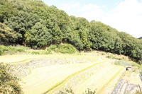 ※別号屋の写真です