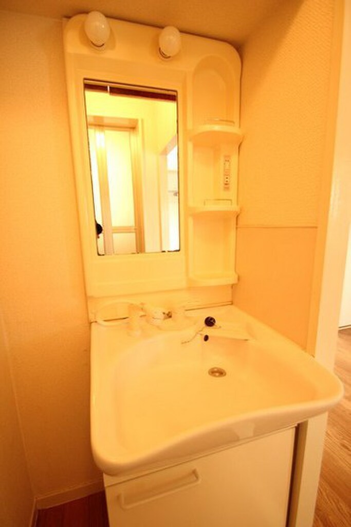 (6/23) 洗面所 (6/23) 洗面所