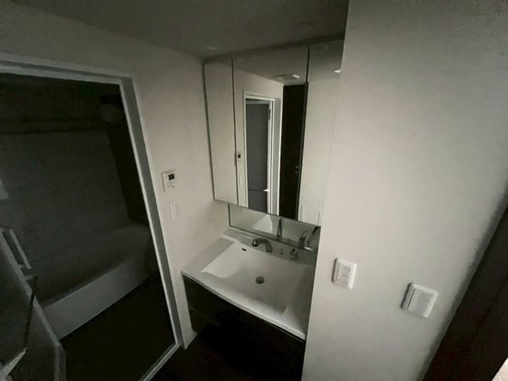 (8/21) 洗面所 (8/21) 洗面所