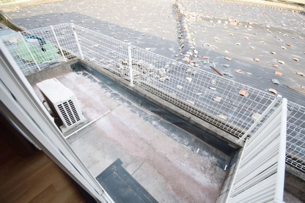 (9/17) 庭 (9/17) 庭