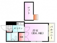 セイコウ光