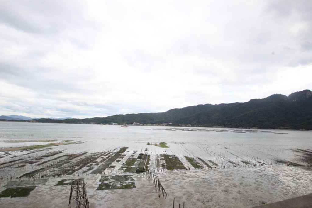 (13/19) 眺望 (13/19) 眺望