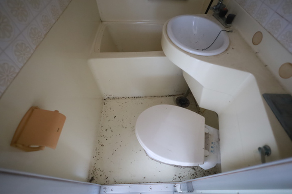 (5/25) バス (5/25) バス