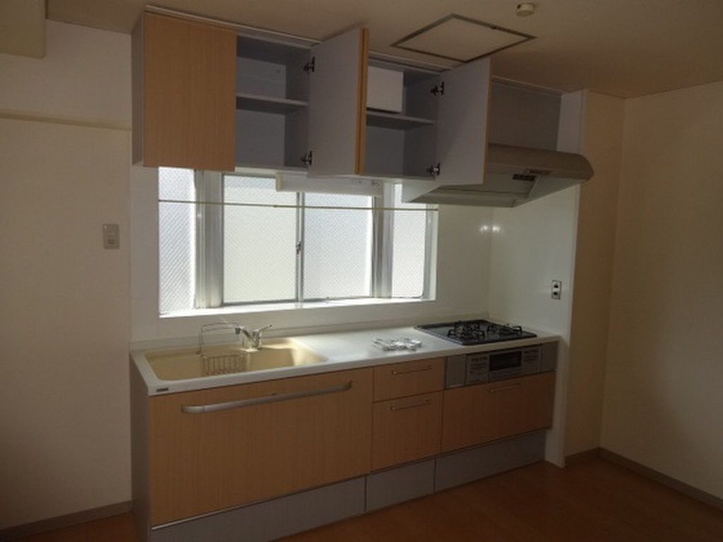 (3/21) キッチン (3/21) キッチン