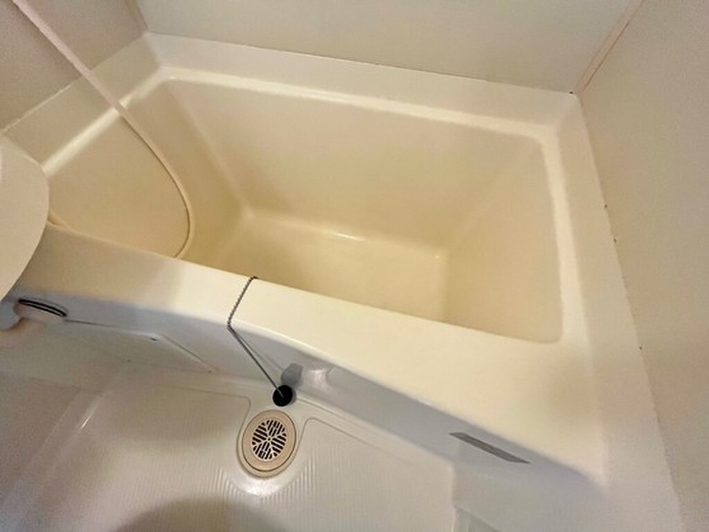 (5/25) バス (5/25) バス