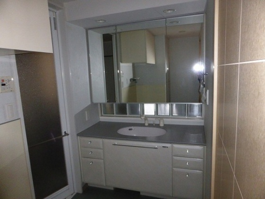 (5/17) 洗面所 (5/17) 洗面所