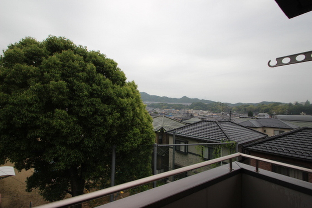 (11/23) 眺望 (11/23) 眺望