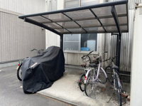 フォーシーズンズ春