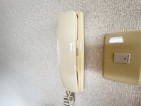 ハイカムール平原