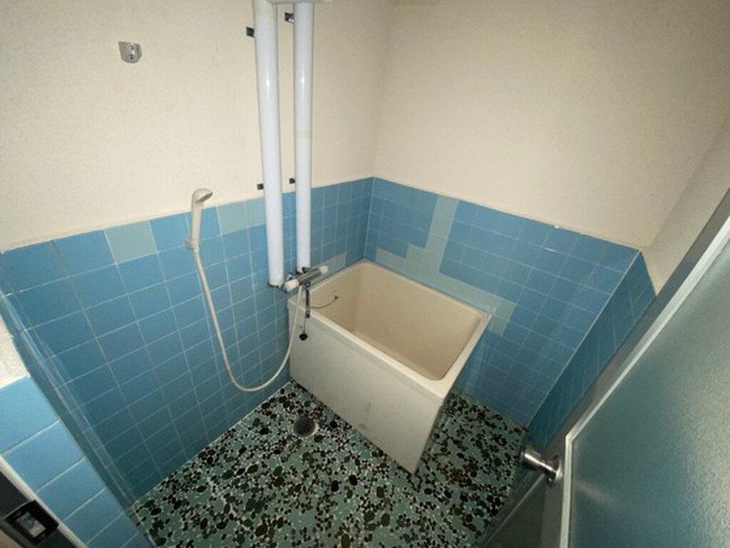 (5/20) バス (5/20) バス