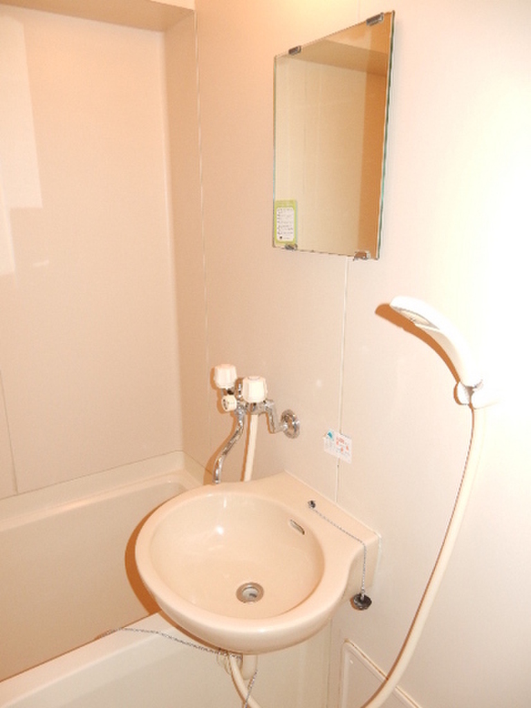 (11/24) 洗面所 (11/24) 洗面所