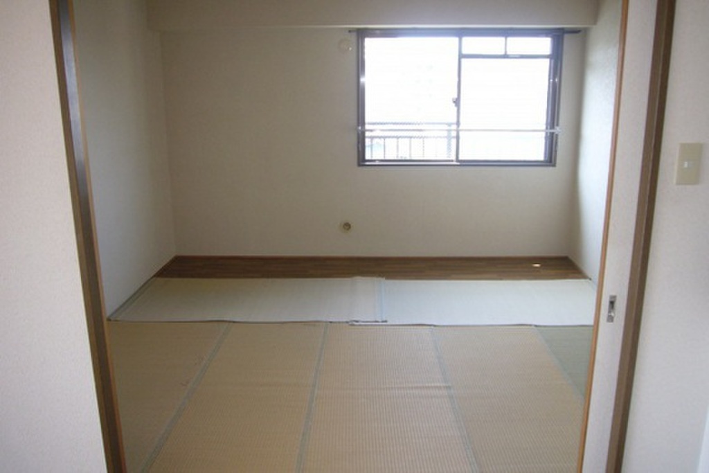 (11/22) その他 (11/22) その他