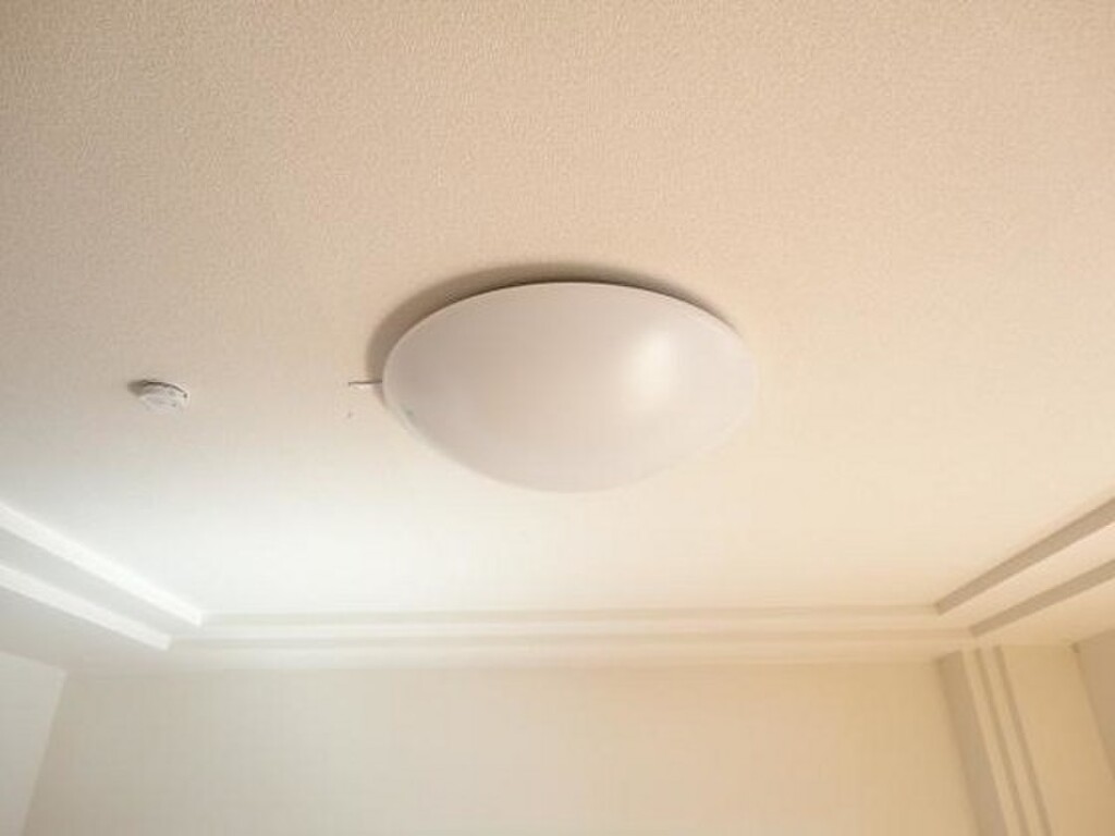 (13/22) その他 (13/22) その他