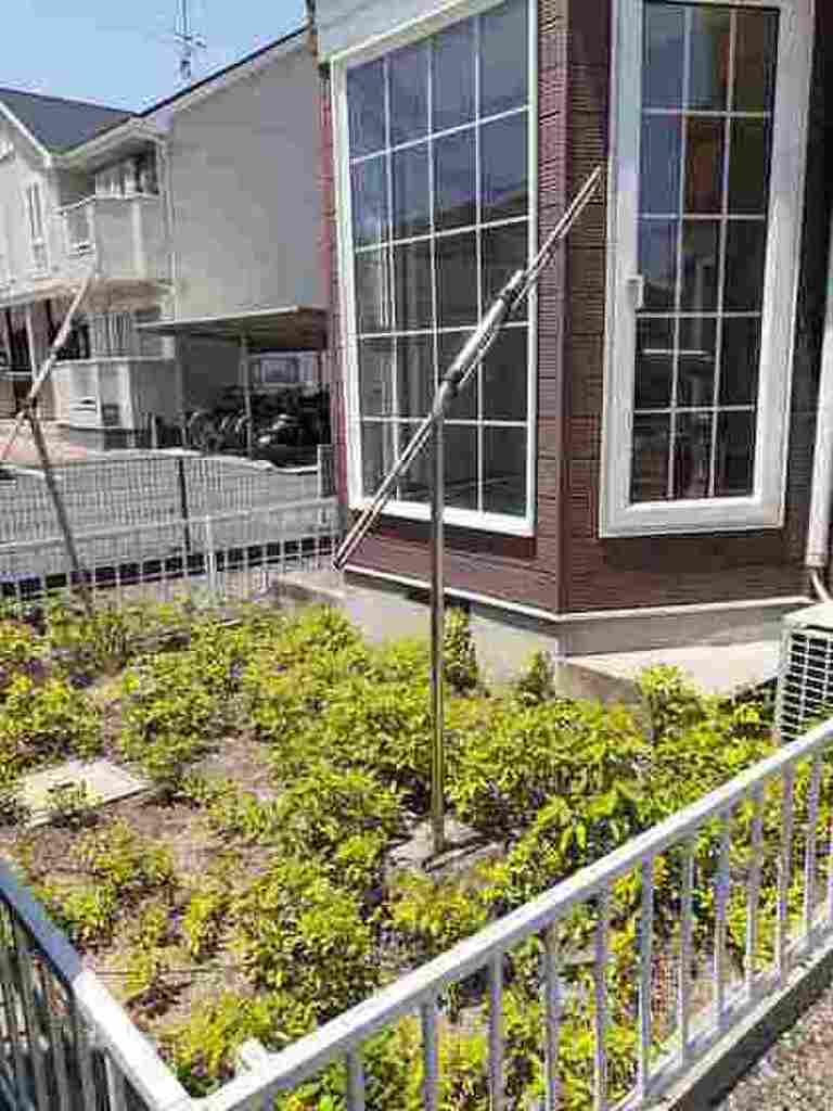 (12/19) 庭 (12/19) 庭