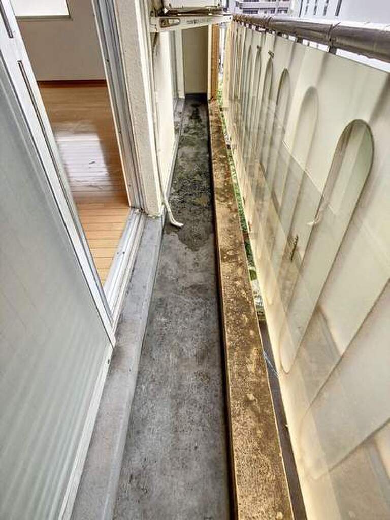 (8/24) バルコニー (8/24) バルコニー