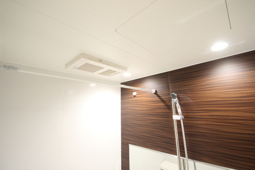 (16/29) バス (16/29) バス