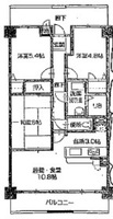 SD清水