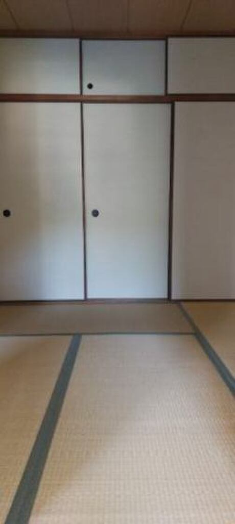 (11/17) その他 (11/17) その他