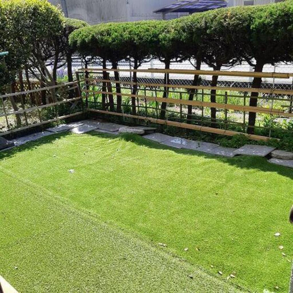 (10/17) 庭 (10/17) 庭