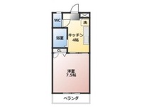 ビューラージュネス